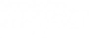 2025 msp 501 winner logo